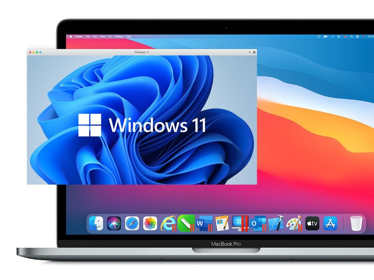 windows 11