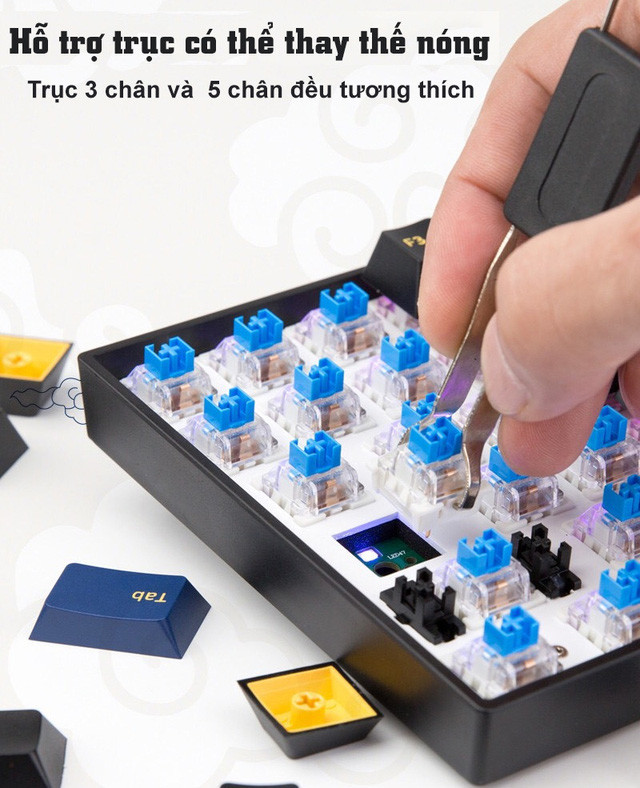 Newmen GM1000 cho Mac và Windows